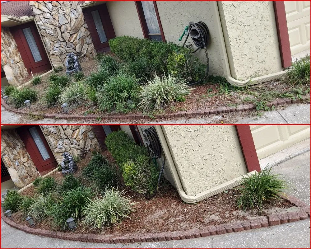 Top-rated landscape design for residential properties across Tampa, FL - Tampa Elite Landscape & Design