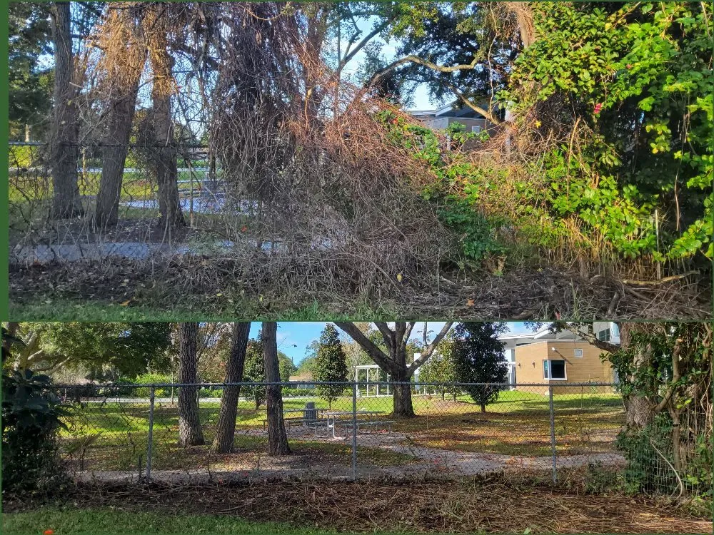 Reliable landscape design in Tampa, FL - Tampa Elite Landscape & Design