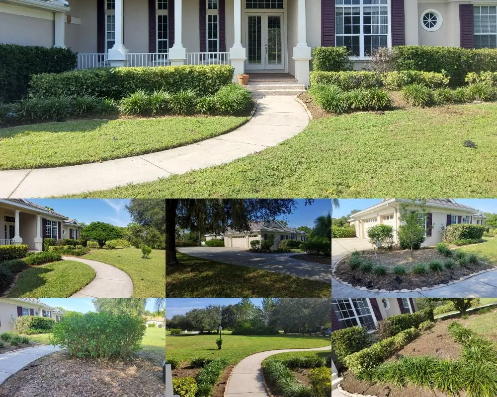 Reliable outdoor landscaping in Tampa, FL by Tampa Elite Landscape & Design