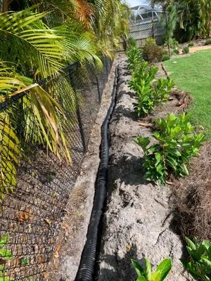 Tampa Environmental Solutions Logo