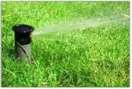 Custom residential landscaping for beautiful yards across Seffner, FL - Tampa Irrigation & Landscape Services