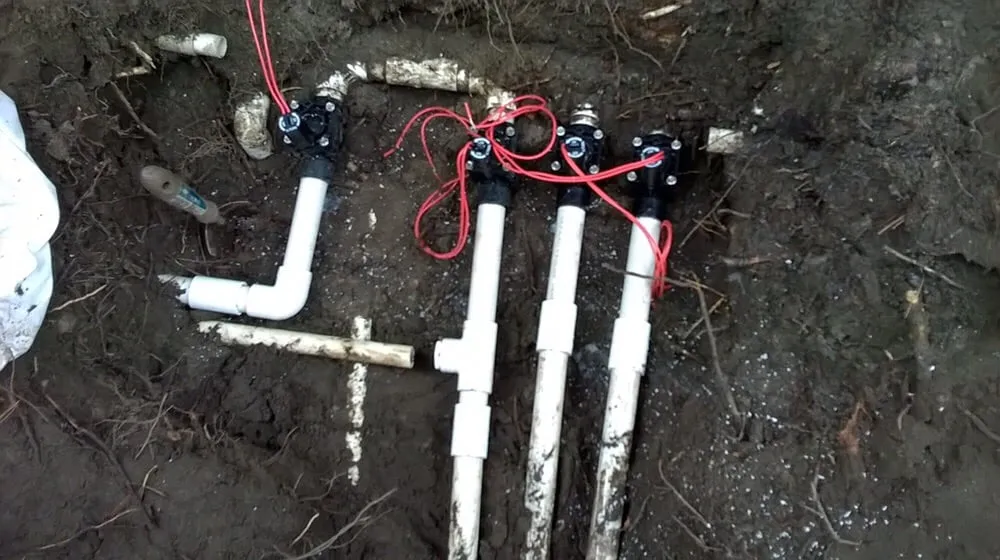 Top-rated residential landscaping experts serving Seffner, FL - Tampa Irrigation & Landscape Services