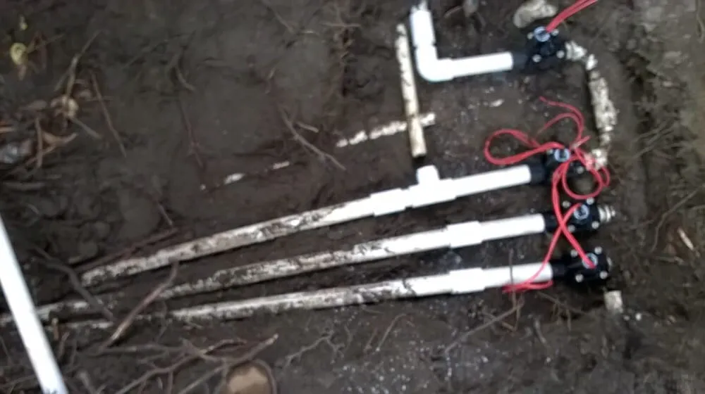 Custom yard cleanup service for year-round maintenance in Seffner, FL by Tampa Irrigation & Landscape Services