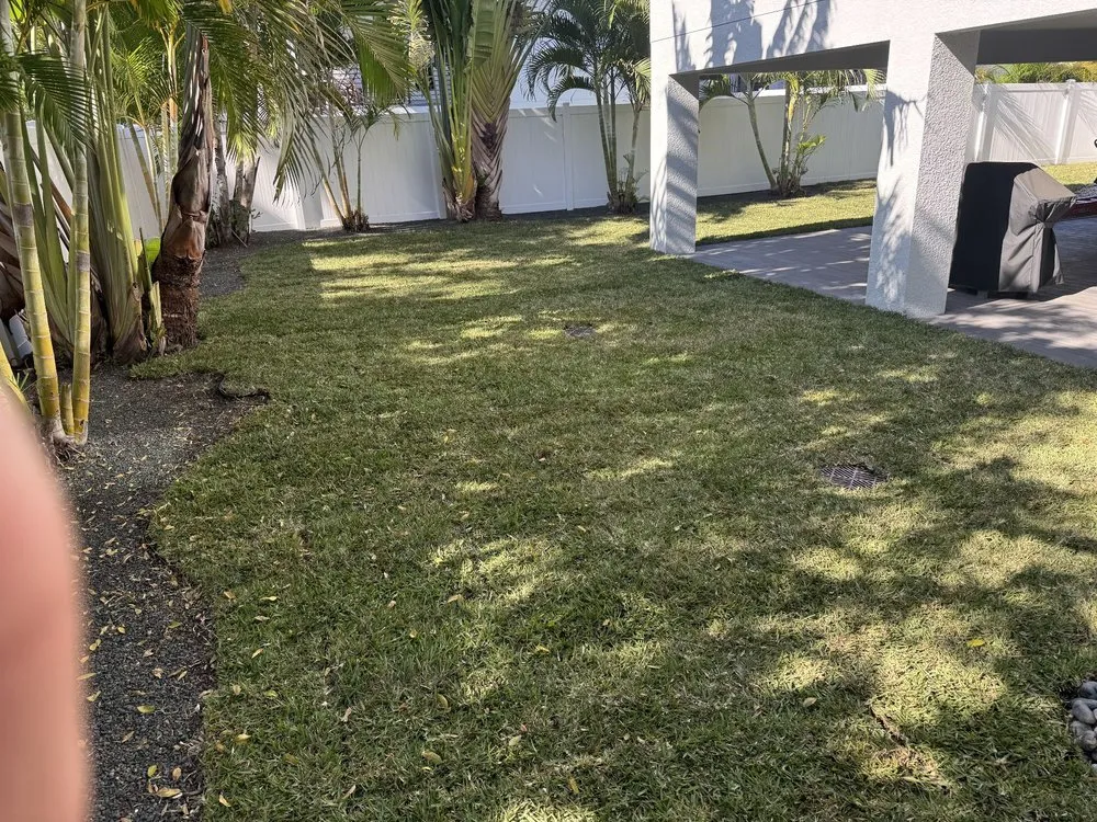 Top-rated lawn mowing service for year-round maintenance across Dover, FL - Tampa Landscape Solutions