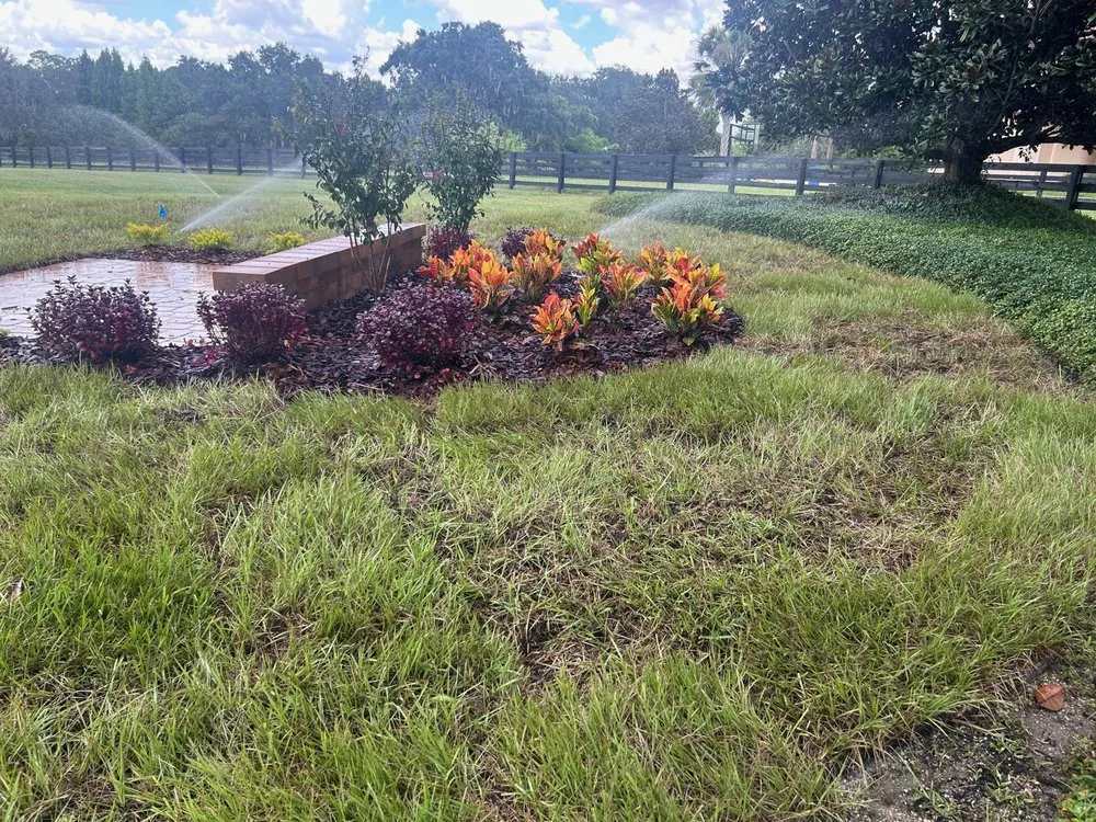 Trusted landscaping services in Dover, FL by Tampa Landscape Solutions
