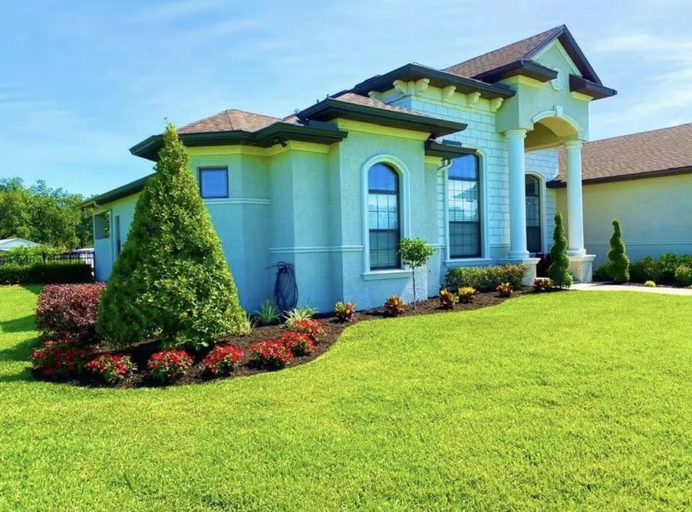 Professional yard cleanup service experts serving Dover, FL - Tampa Landscape Solutions