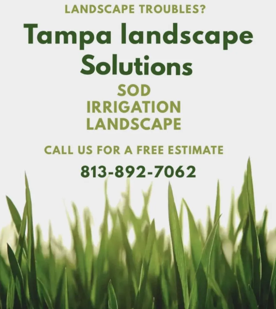 Custom residential landscaping near you in Dover, FL by Tampa Landscape Solutions