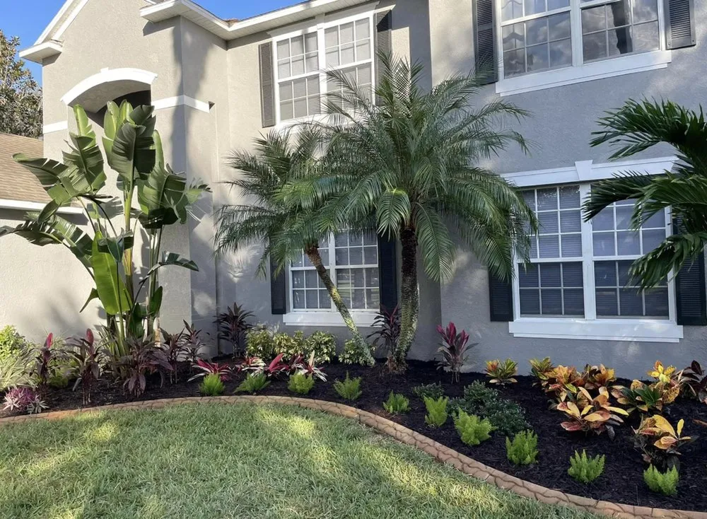 Affordable yard cleanup service experts serving Dover, FL - Tampa Landscape Solutions
