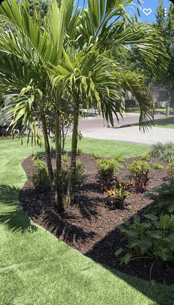 Local garden landscaping in Dover, FL by Tampa Landscape Solutions