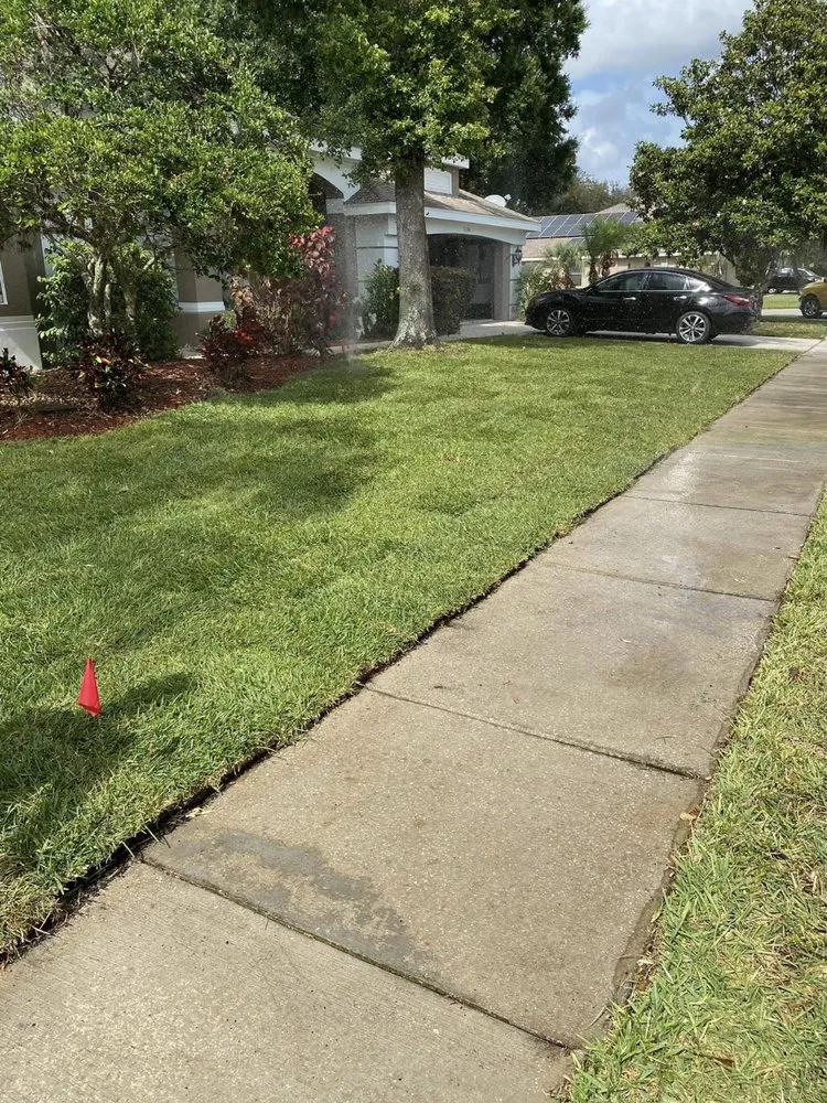 Reliable landscape design experts serving Dover, FL - Tampa Landscape Solutions