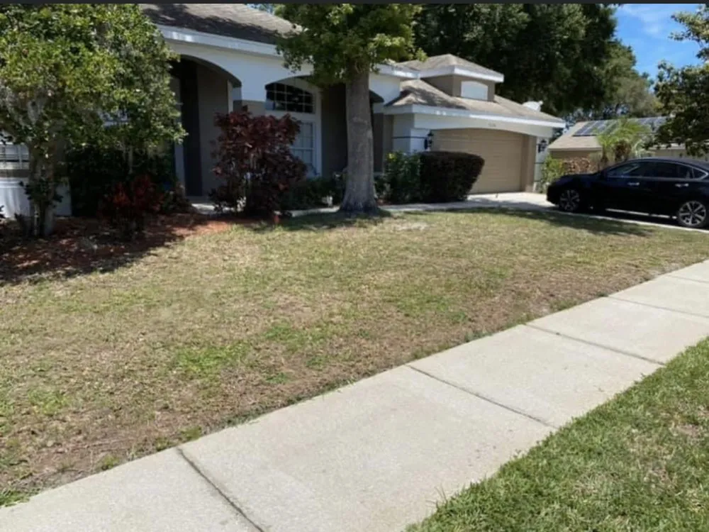 Custom yard cleanup service in Dover, FL by Tampa Landscape Solutions