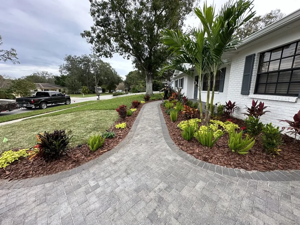 Professional residential landscaping experts serving Dover, FL - Tampa Landscape Solutions