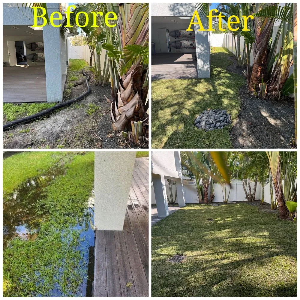 Professional yard maintenance for beautiful yards across Dover, FL - Tampa Landscape Solutions
