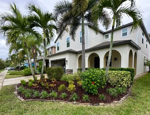 Tampa Landscape Solutions