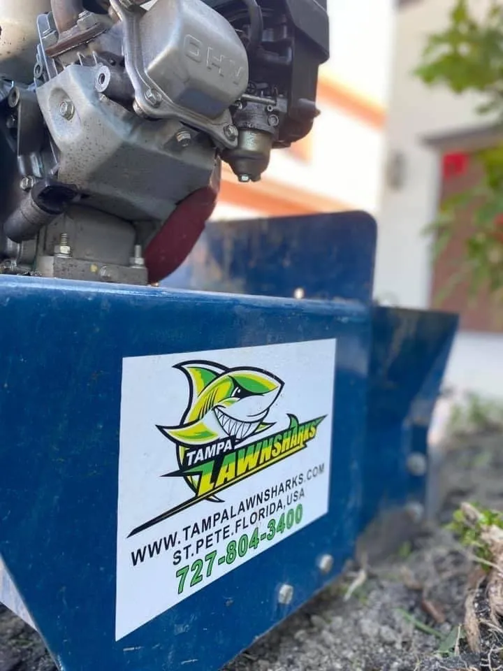 Trusted outdoor landscaping in St. Petersburg, FL - Tampa Lawn Sharks