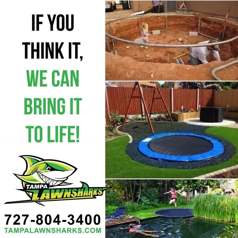 Professional outdoor landscaping for year-round maintenance across St. Petersburg, FL - Tampa Lawn Sharks