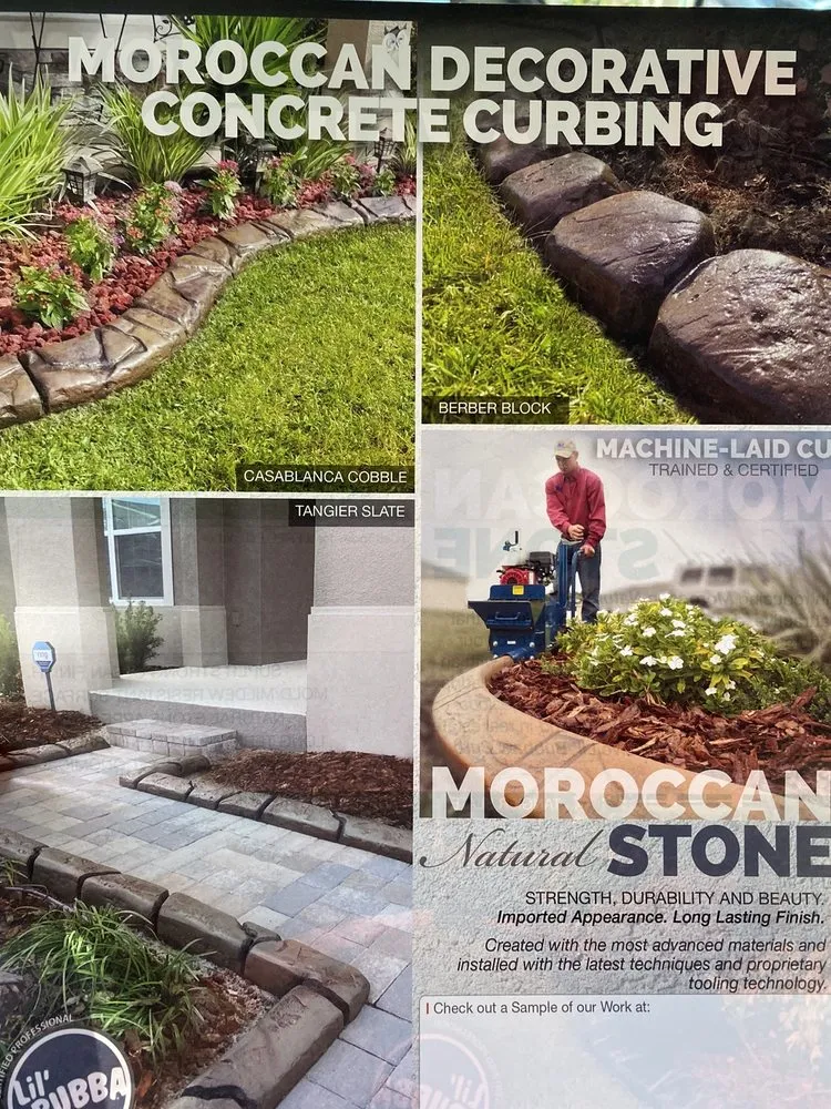 Reliable yard maintenance near you in St. Petersburg, FL by Tampa Lawn Sharks