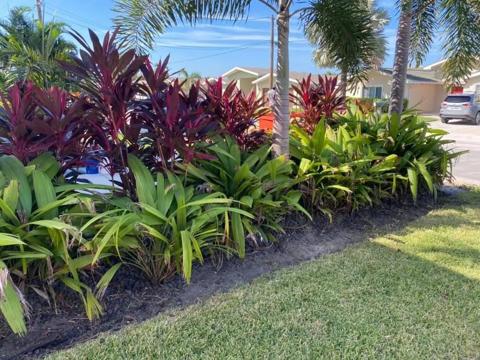 Expert landscaping services for residential properties across St. Petersburg, FL - Tampa Lawn Sharks