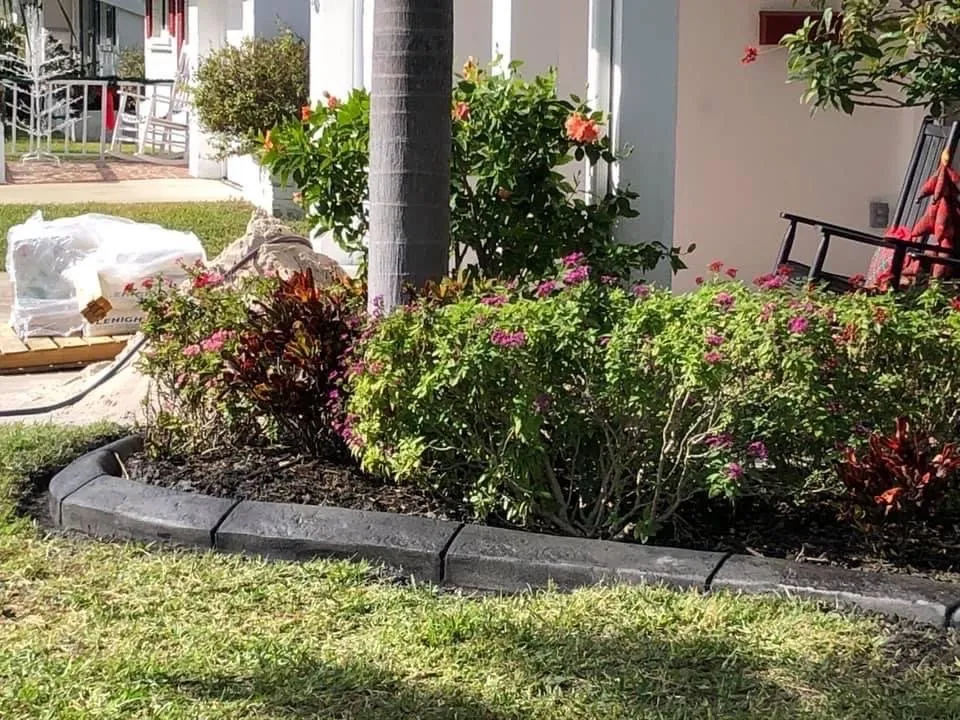 Reliable landscape design in St. Petersburg, FL - Tampa Lawn Sharks