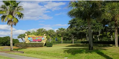 Professional landscape design experts serving Tampa, FL - Tampa Turf And Artificial Grass