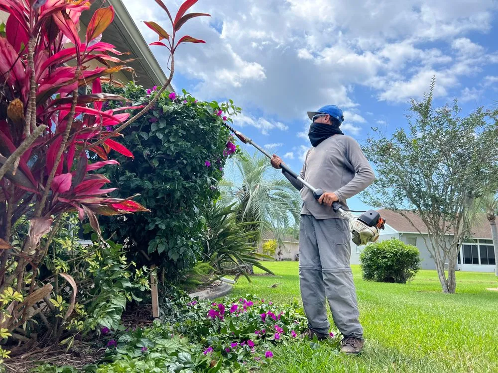 Local lawn mowing service for outdoor upgrades in Tampa Bay, FL by Tampa Yard Team