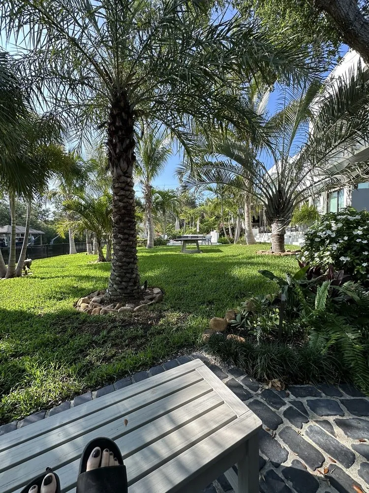 Trusted lawn care service in Tampa Bay, FL - Tampa Yard Team