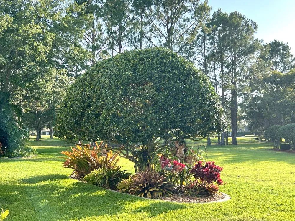 Custom residential landscaping experts serving Tampa Bay, FL - Tampa Yard Team