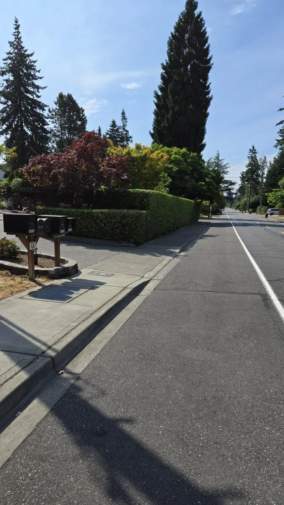 Reliable garden landscaping in Everett, WA by Tam's Professional Landscaping Services