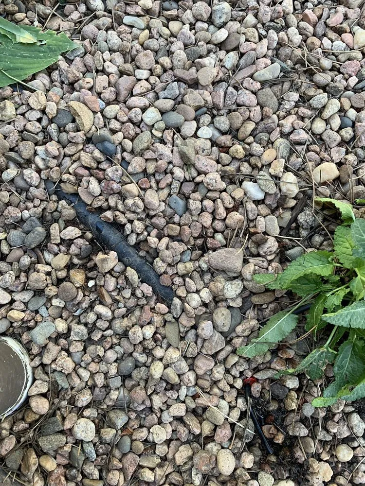 Local outdoor landscaping experts serving Everett, WA - Tam's Professional Landscaping Services