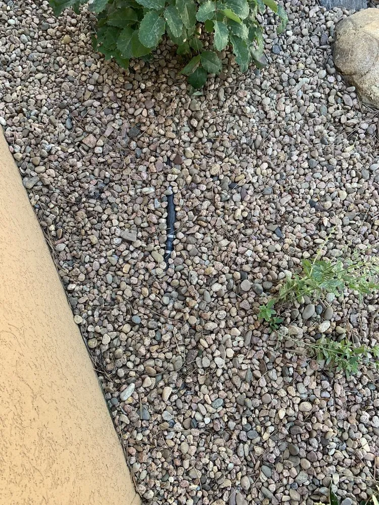 Top-rated lawn care service near you in Everett, WA by Tam's Professional Landscaping Services