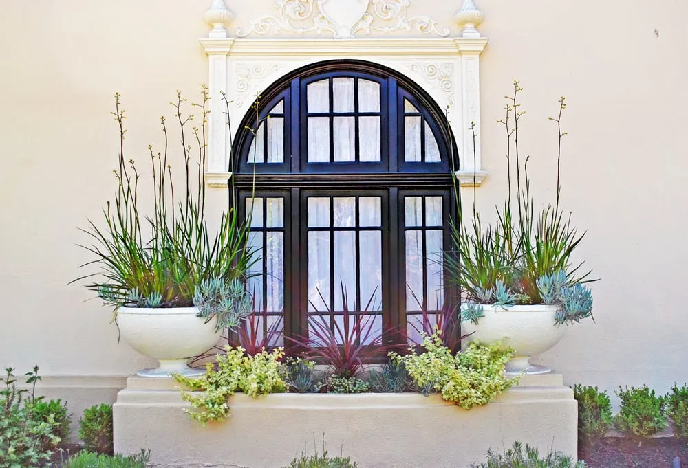 Affordable yard cleanup service for outdoor upgrades across Morgan Hill, CA - Tamura Designs