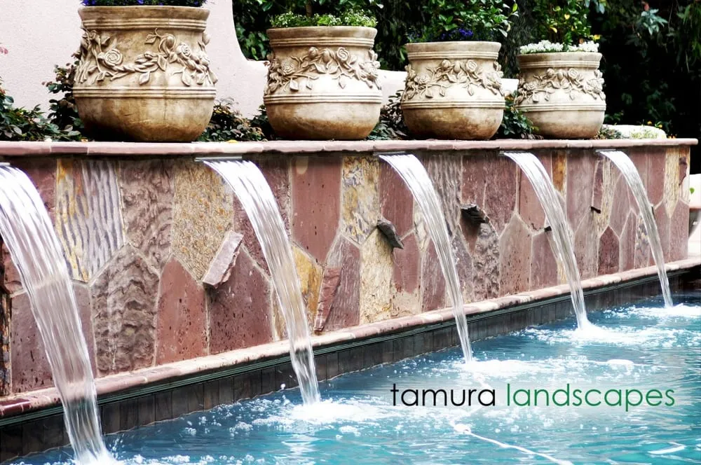 Reliable lawn care service for residential properties in Morgan Hill, CA by Tamura Designs
