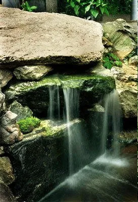 Professional landscaping services in Swannanoa, NC by Tanbark Landscape Company