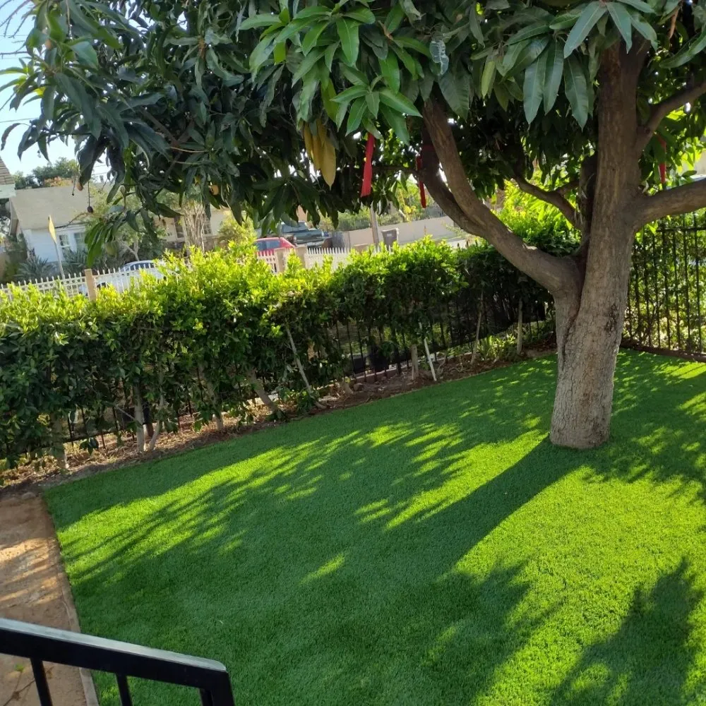 Affordable yard cleanup service for homes in Huntington Park, CA by TandScape Landscaping