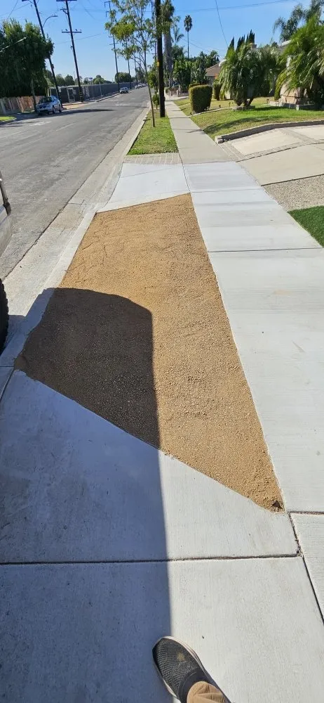 Local yard cleanup service with custom design in Huntington Park, CA by TandScape Landscaping