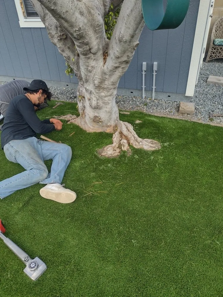 Trusted garden landscaping for beautiful yards across Huntington Park, CA - TandScape Landscaping