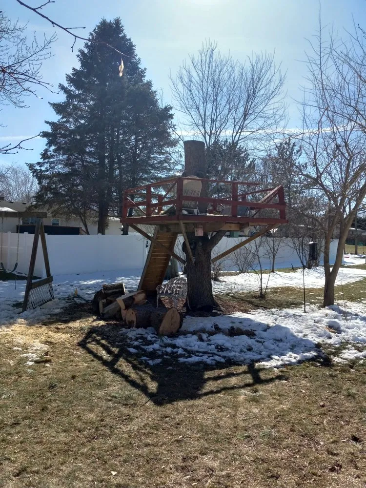 Top-rated landscaping services in Stoughton, WI - Tangeman Tree Care