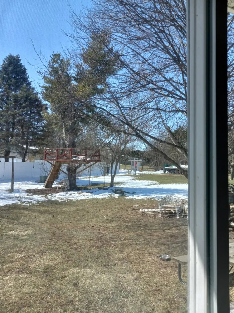 Custom landscaping services in Stoughton, WI by Tangeman Tree Care