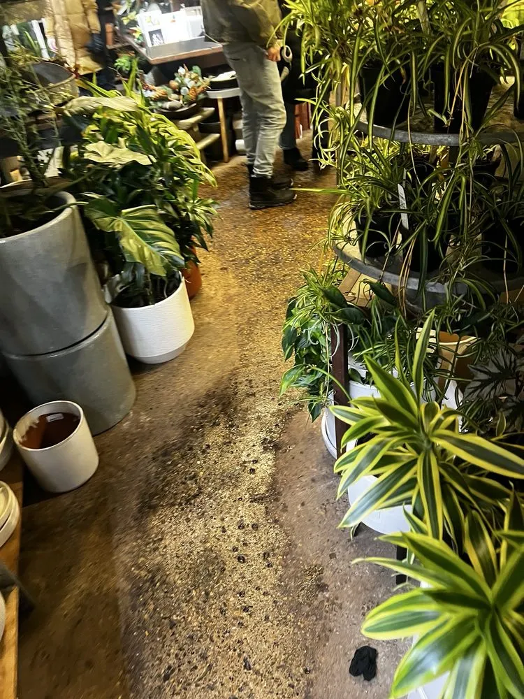 Local outdoor landscaping experts serving Minneapolis, MN - Tangletown Gardens