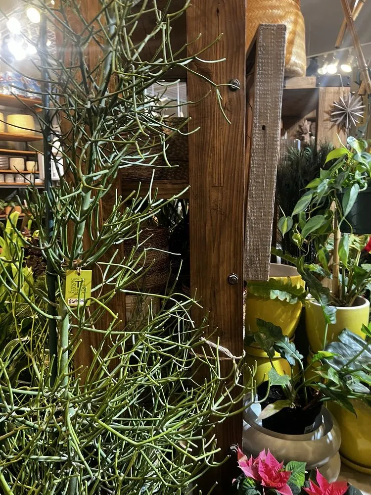 Trusted outdoor landscaping in Minneapolis, MN - Tangletown Gardens