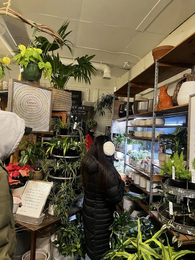 Reliable lawn mowing service in Minneapolis, MN - Tangletown Gardens