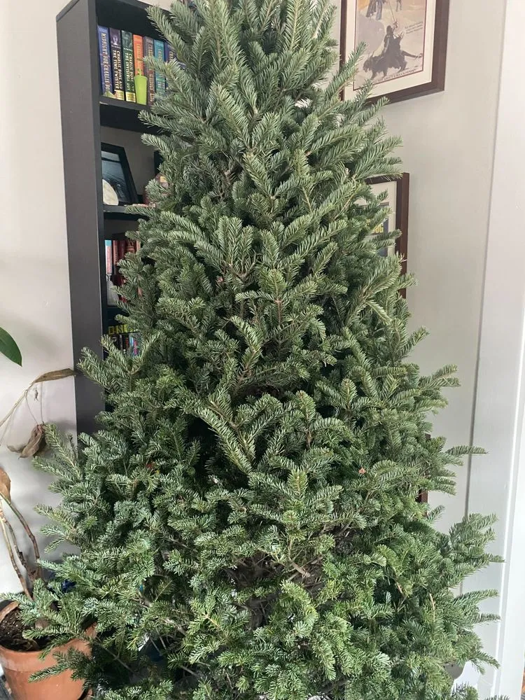 Affordable landscaping services for outdoor upgrades in Minneapolis, MN by Tangletown Gardens