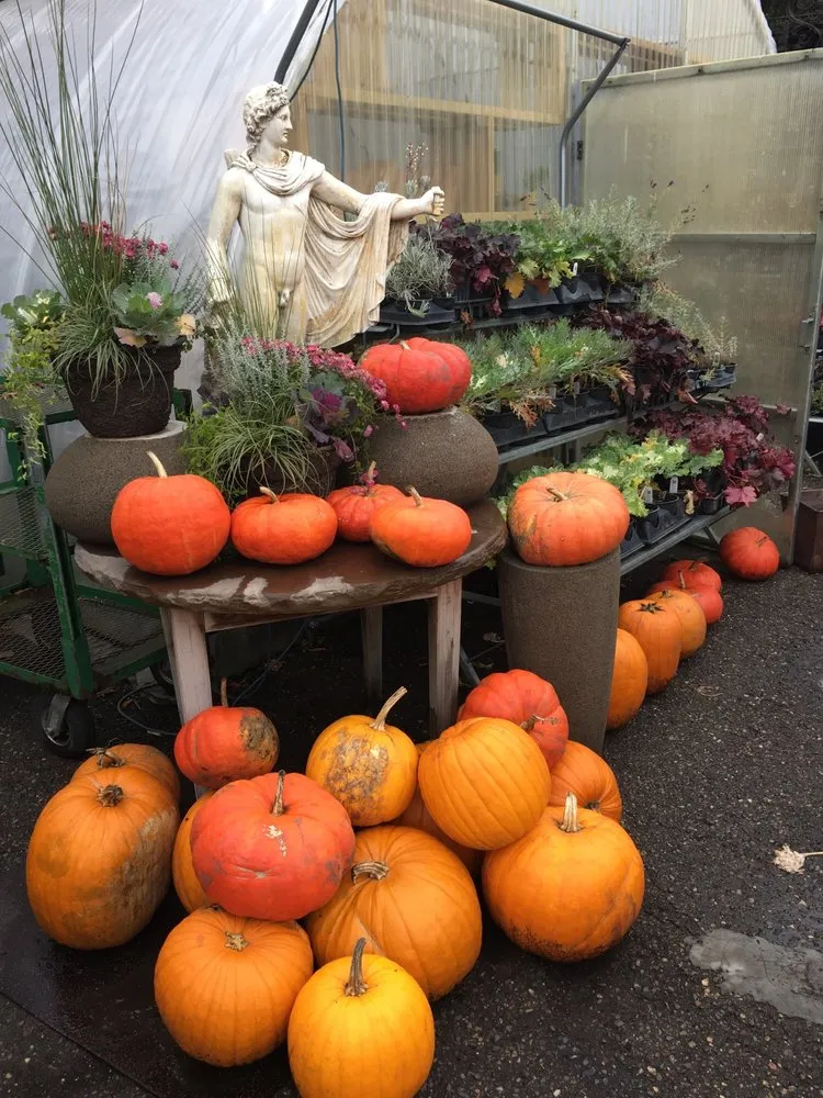 Expert landscape installation experts serving Minneapolis, MN - Tangletown Gardens