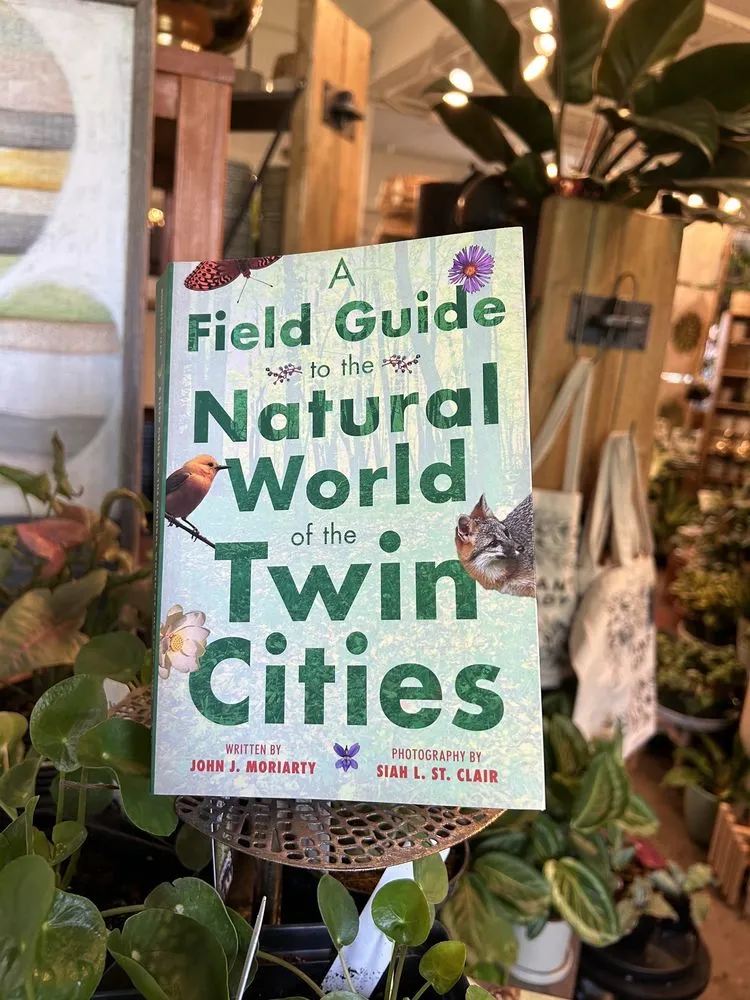 Expert outdoor landscaping experts serving Minneapolis, MN - Tangletown Gardens