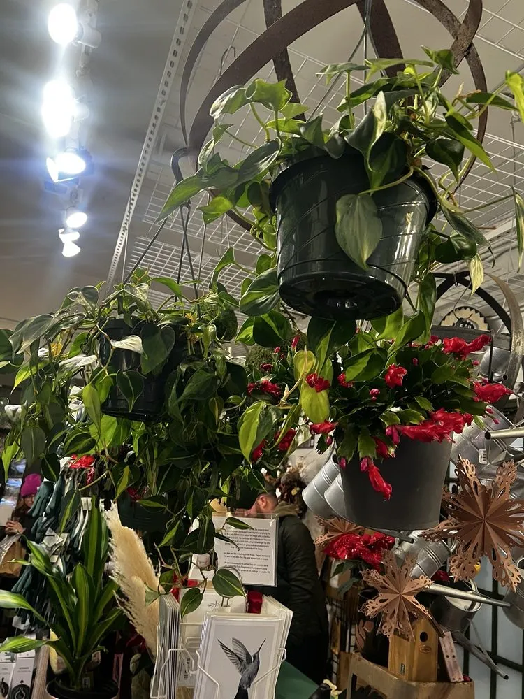 Expert yard maintenance in Minneapolis, MN - Tangletown Gardens