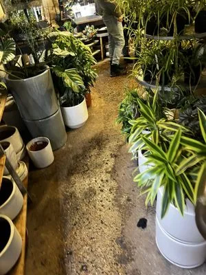 Tangletown Gardens Logo