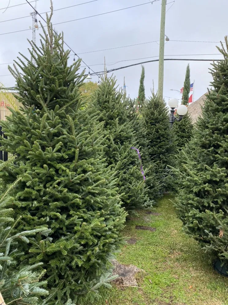 Local yard maintenance in Houston, TX - Tanglewood Flowers & Garden