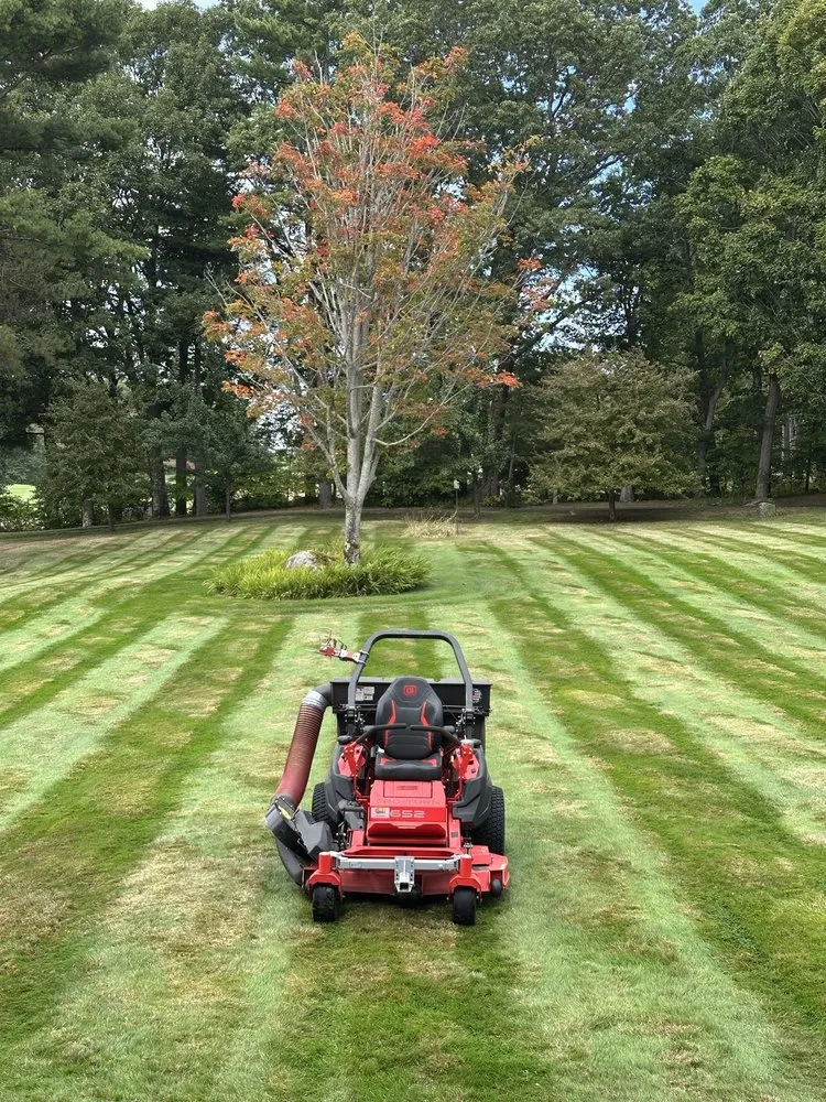 Professional outdoor landscaping experts serving Moultonborough, NH - Tanglewood Property Services