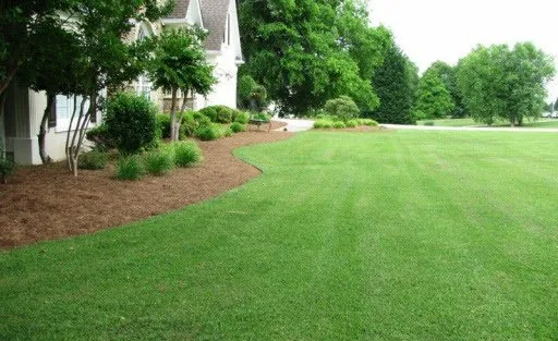 Trusted landscape installation in Tupelo, MS by Tanking Cuts