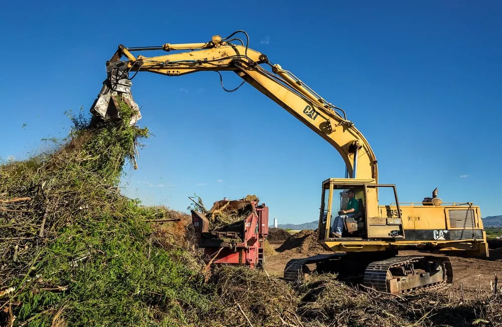Custom lawn care service for beautiful yards in Tucson, AZ by Tank's Green Stuff